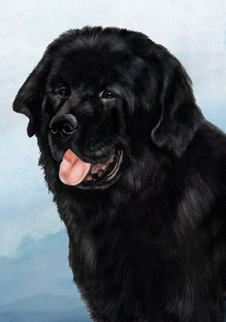 Newfoundland Dog by Tamara Burnett Blank Greeting Card 5x7 | 1076 | 259219