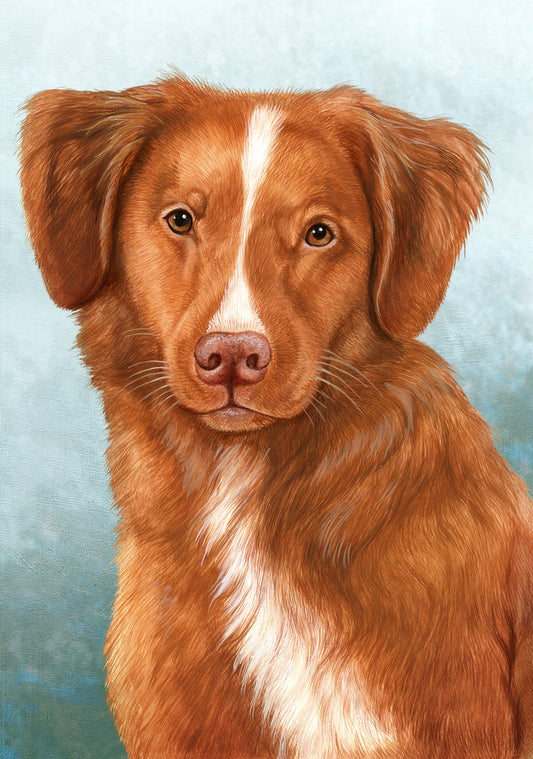 Nova Scotia Duck Tolling Retriever Dog by Tamara Burnett Blank Greeting Card 5x7 | 1079 | 259222