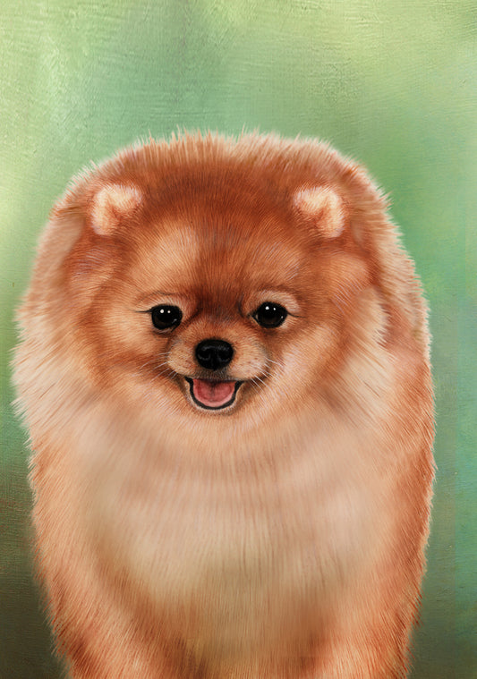 Pomeranian Dog by Tamara Burnett Blank Greeting Card 5x7 | 1081 | 259224