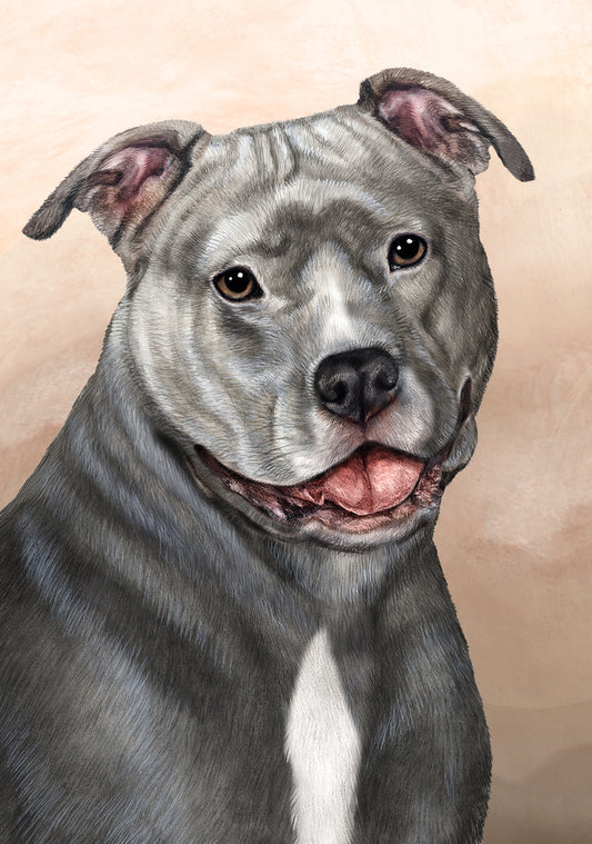 Pit Bull Dog by Tamara Burnett Blank Greeting Card 5x7 | 1082 | 259225