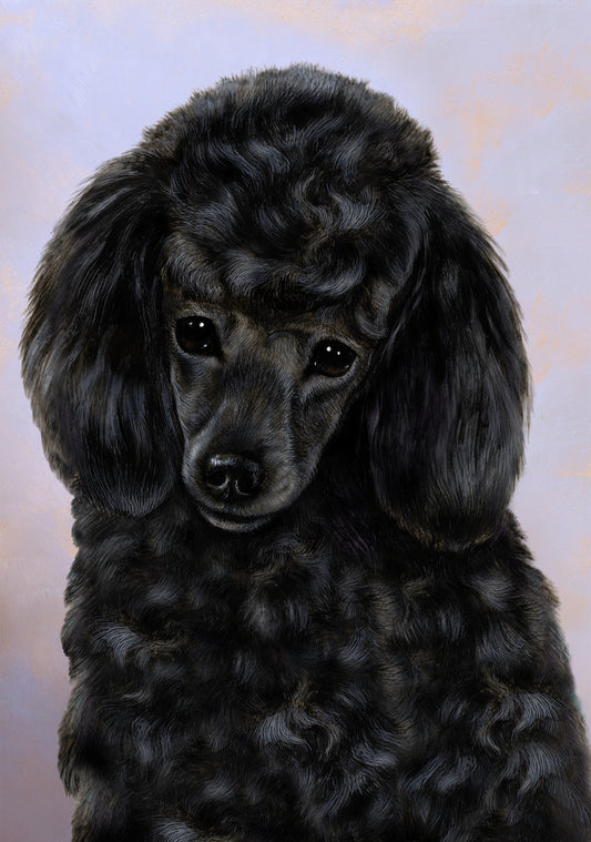 Poodle Dog by Tamara Burnett Blank Greeting Card 5x7 | 1085 | 259228