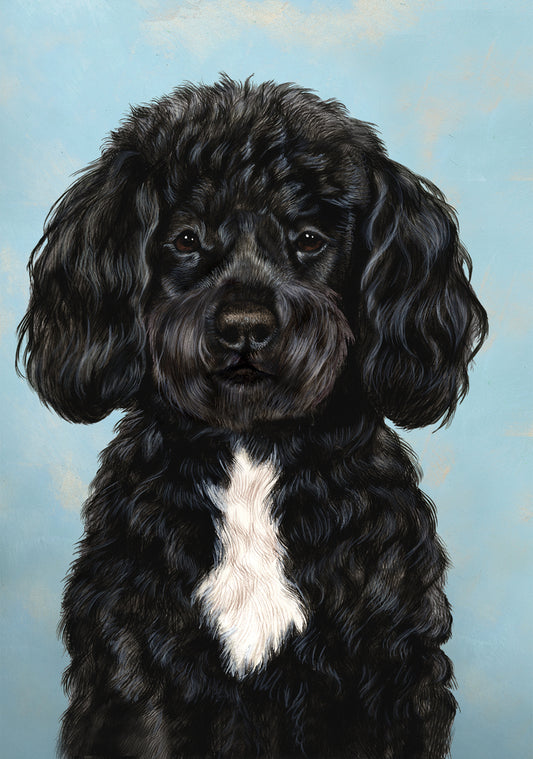 Portuguese Water Dog by Tamara Burnett Blank Greeting Card 5x7 | 1086 | 259229