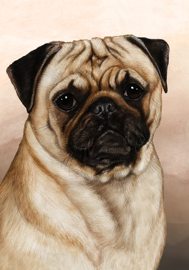 Pug Dog by Tamara Burnett Blank Greeting Card 5x7 | 1087 | 259230