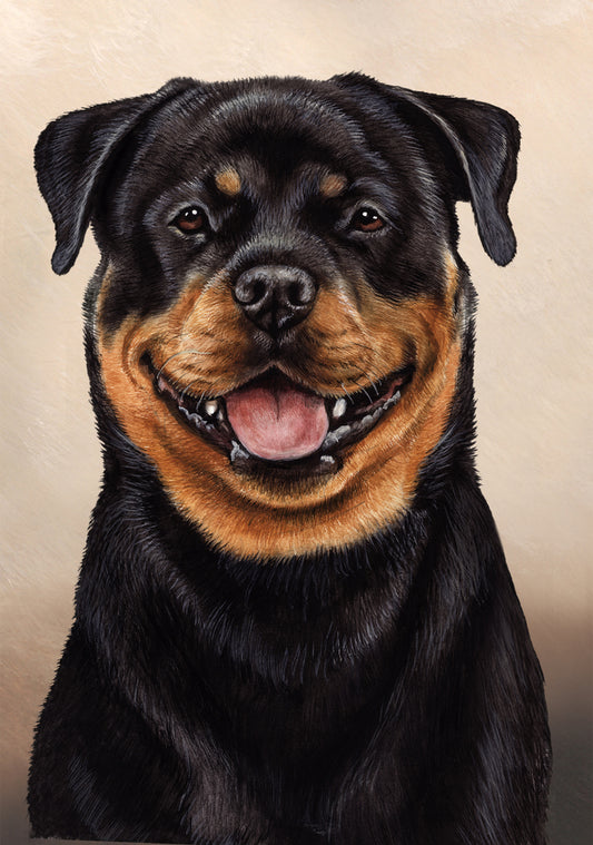 Rottweiler Dog by Tamara Burnett Blank Greeting Card 5x7 | 1088 | 259231