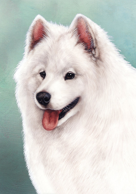 Samoyed Dog by Tamara Burnett Blank Greeting Card 5x7 | 1090 | 259233