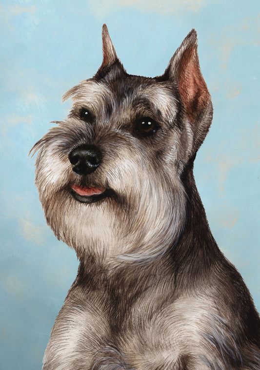 Schnauzer Dog by Tamara Burnett Blank Greeting Card 5x7 | 1092 | 259235