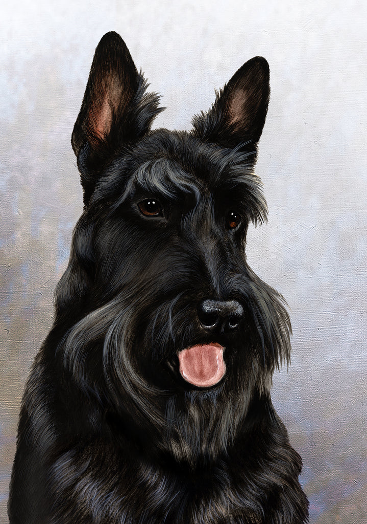 Scottish Terrier Dog by Tamara Burnett Blank Greeting Card 5x7 | 1093 | 259236