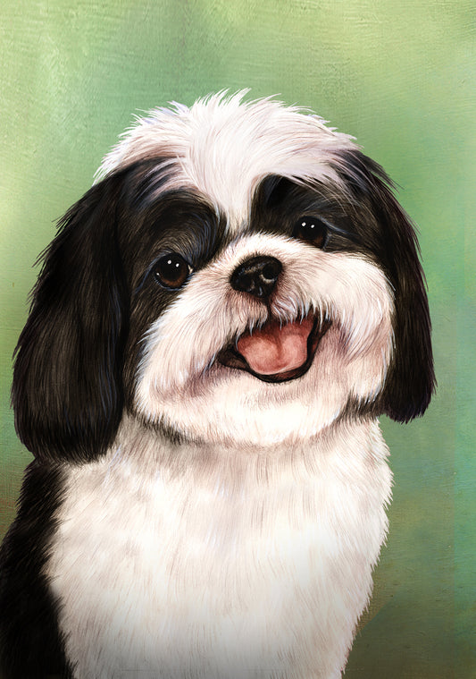 Shih Tzu Dog by Tamara Burnett Blank Greeting Card 5x7 | 1095 | 259238