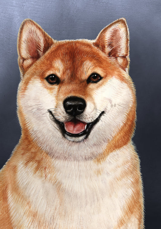 Shiba Inu Dog by Tamara Burnett Blank Greeting Card 5x7 | 1096 | 259239