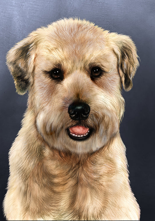 Soft Coated Wheaten Terrier Dog by Tamara Burnett Blank Greeting Card 5x7 | 1098 | 259241