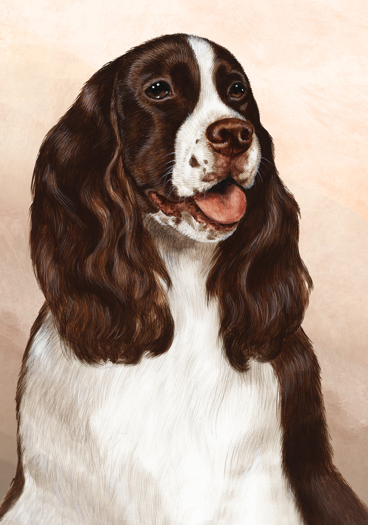 Springer Spaniel Dog by Tamara Burnett Blank Greeting Card 5x7 | 1099 | 259242