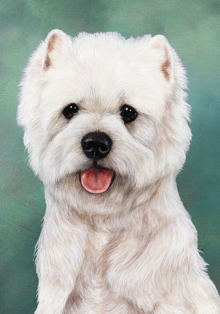 Westie Dog by Tamara Burnett Blank Greeting Card 5x7 | 1100 | 259243