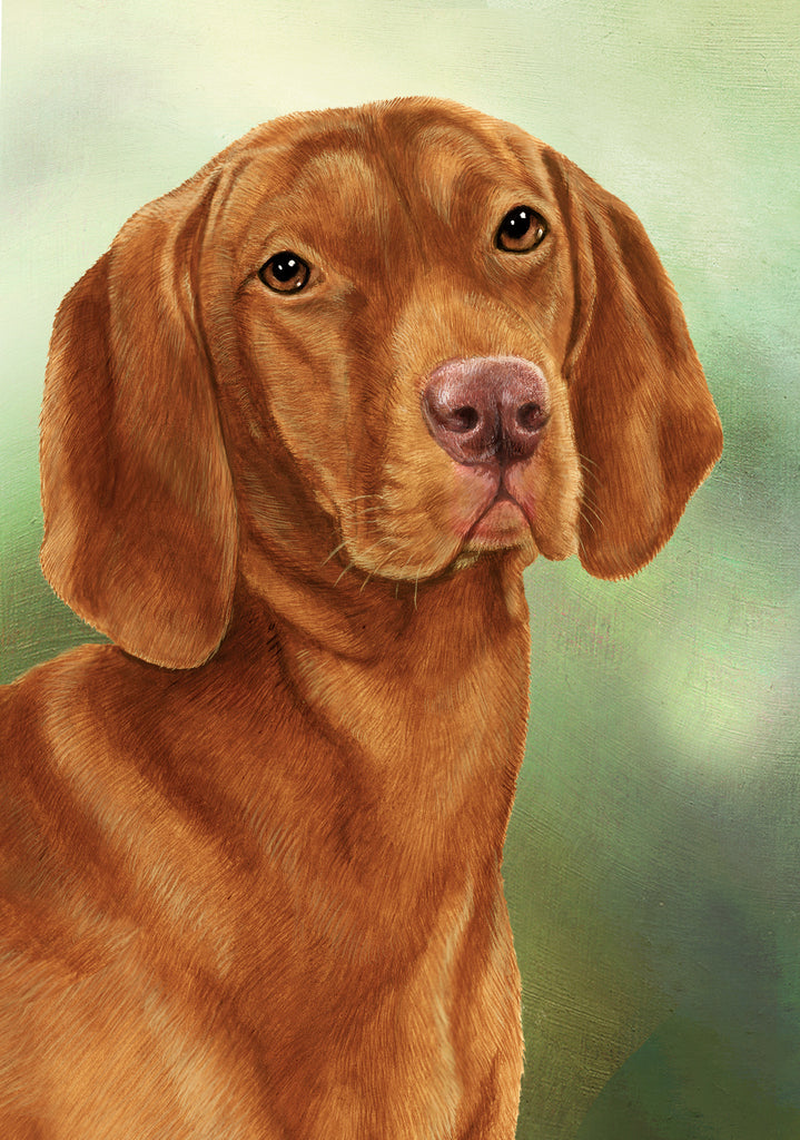 Vizsla Dog by Tamara Burnett Blank Greeting Card 5x7 | 1101 | 259244