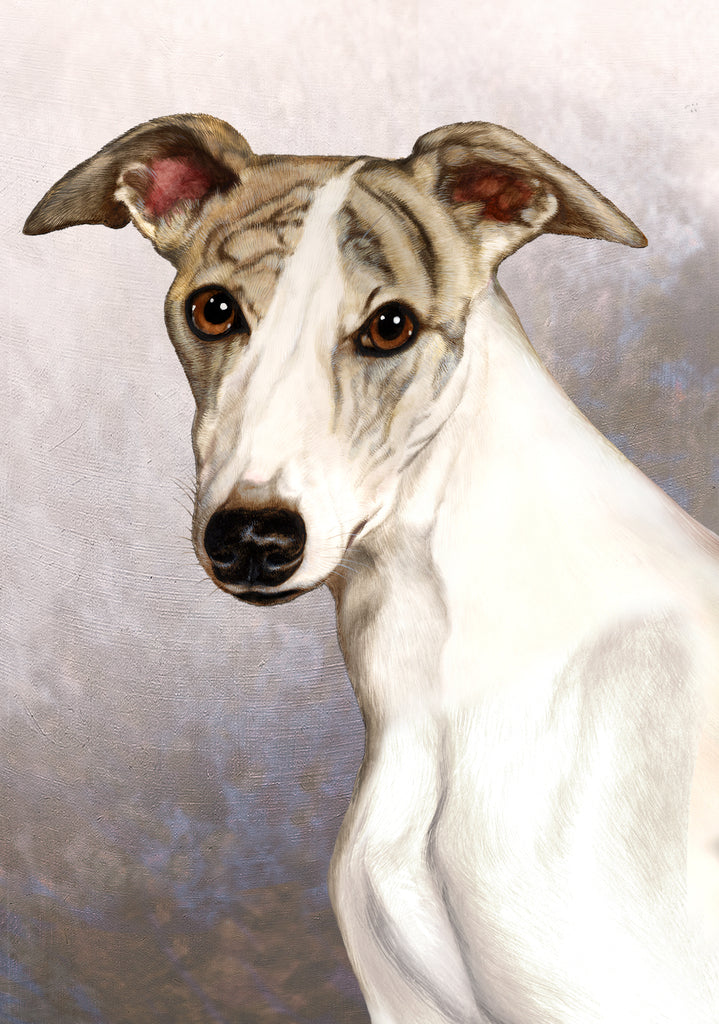 Whippet Dog by Tamara Burnett Blank Greeting Card 5x7 | 1102 | 259245