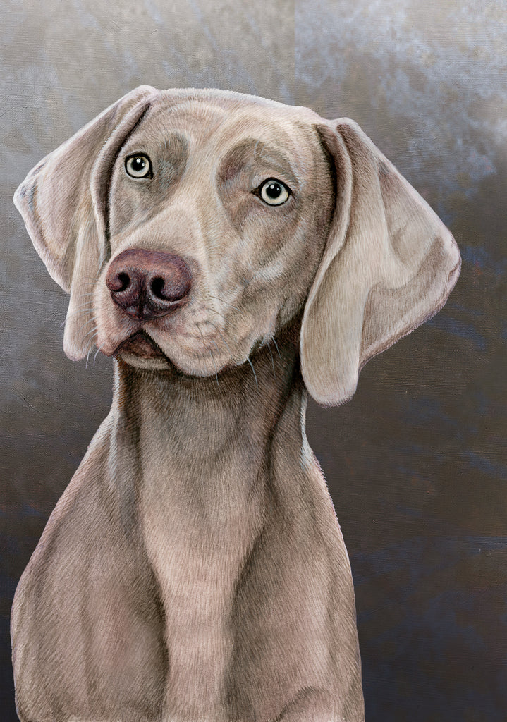 Weimaraner Dog by Tamara Burnett Blank Greeting Card 5x7 | 1103 | 259246