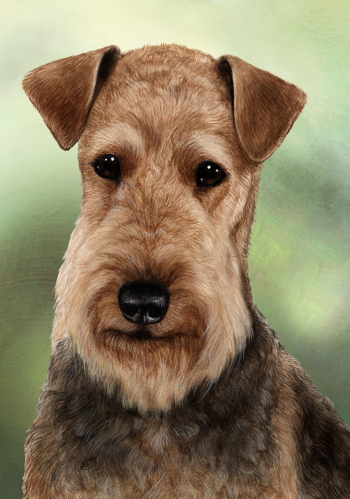 Airedale Dog by Tamara Burnett Blank Greeting Card 5x7 | 1104 | 259247