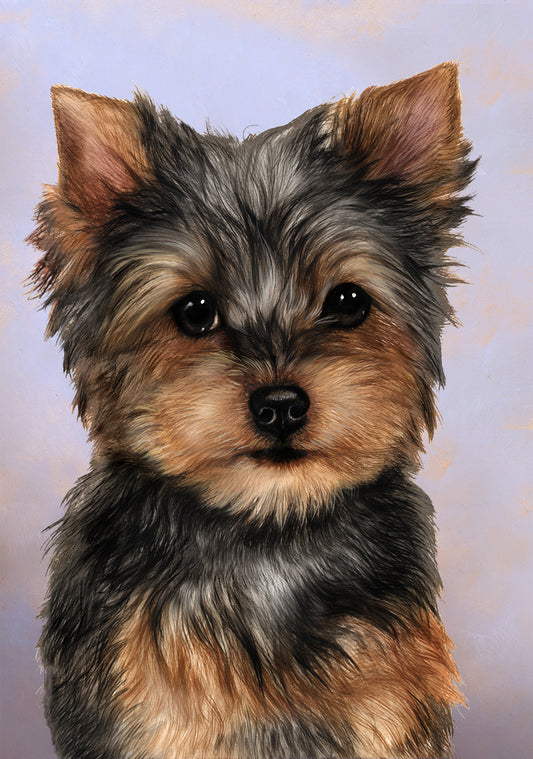 Yorkie Dog by Tamara Burnett Blank Greeting Card 5x7 | 1105 | 259248