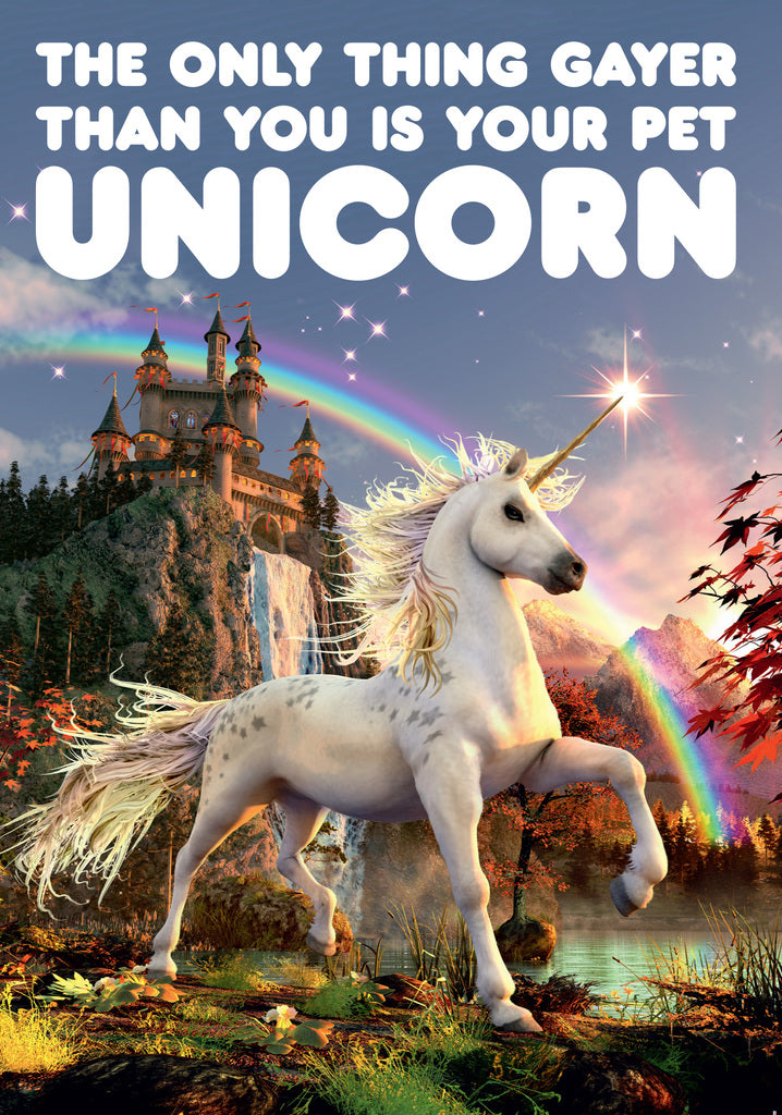 Dean Morris Gayer Than You Unicorn Rainbow Castle Funny Birthday Greeting Card 5x7 DMA180 | 259392