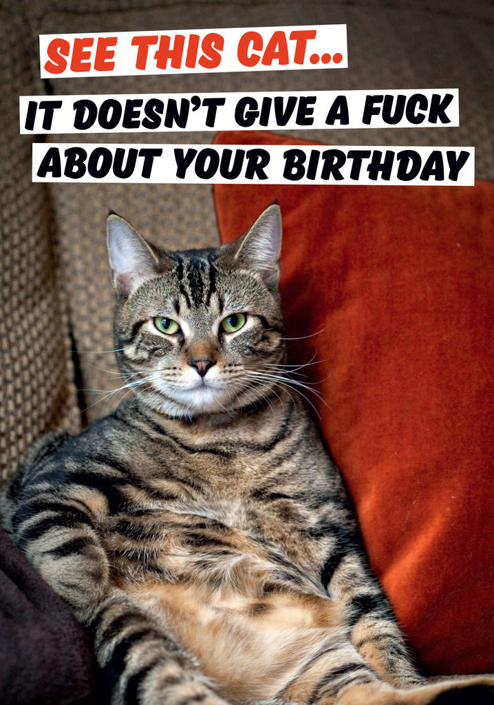 Dean Morris Moody Looking Cat Funny Birthday Greeting Card 5x7 DMA216 | 259400