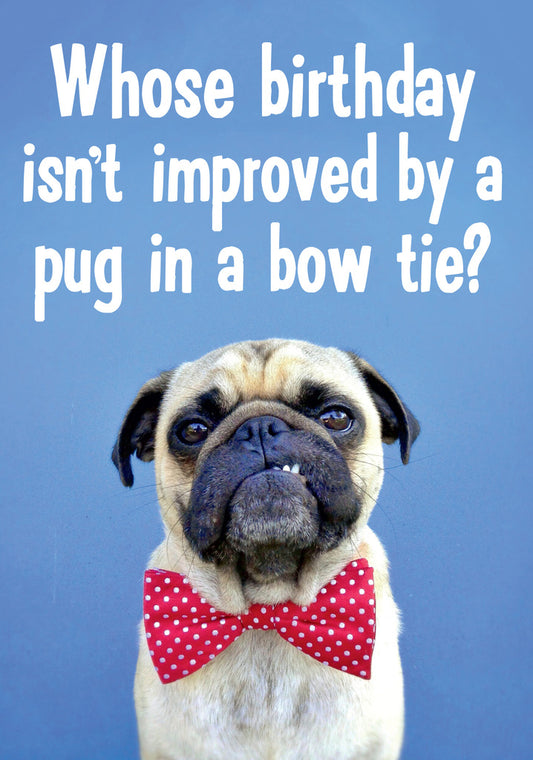 Dean Morris Pug In Bow Tie Funny Birthday Greeting Card 5x7 DMA229 | 259405