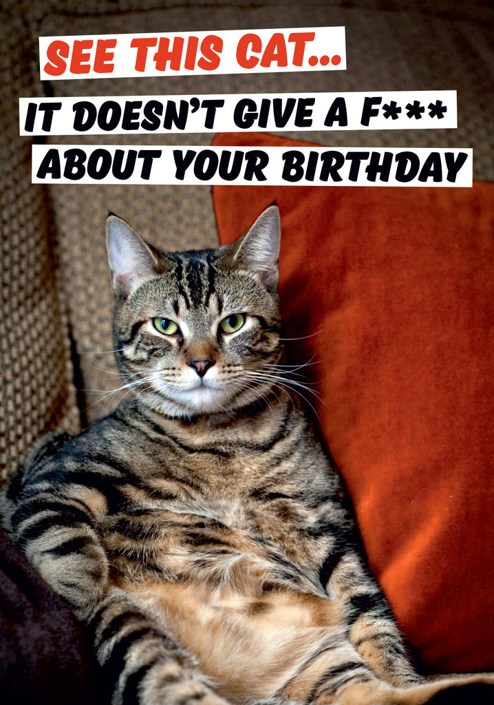 Dean Morris See This Cat Moody Looking Funny Birthday Greeting Card 5x7 DMA296 | 259430