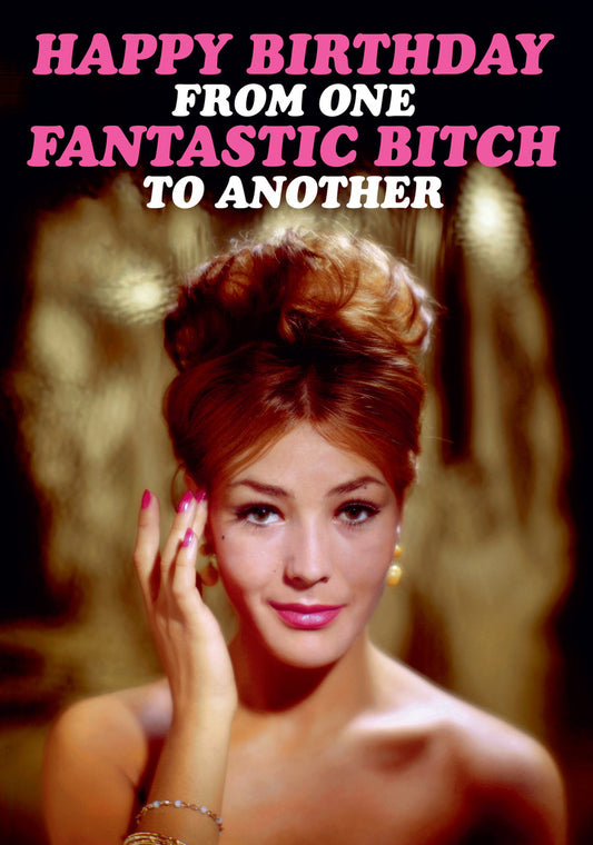 Dean Morris Fantastic Bitch Glamorous Woman Funny Birthday Greeting Card 5x7 DMA314 | 259439