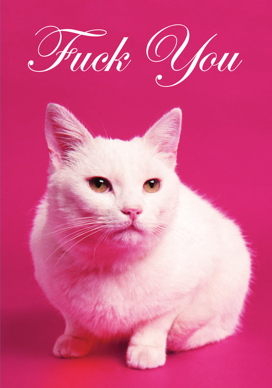 Dean Morris Moody Looking White Cat Pink Background Funny Greeting Card 5x7 DMA319 | 259443