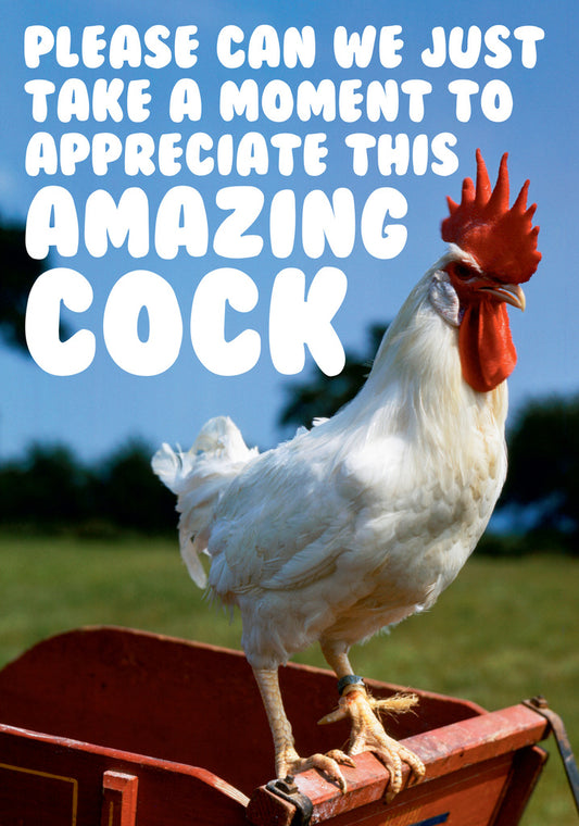 Dean Morris Amazing Cock Rooster Funny Greeting Card 5x7 DMA360 | 259463