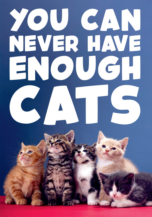 Dean Morris You Can Never Have Enough Cats Funny Birthday Greeting Card 5x7 DMA432 | 259524