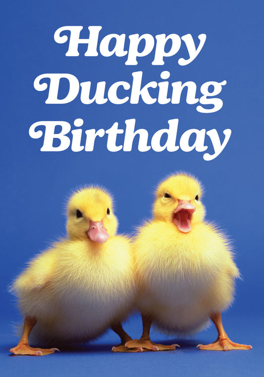 Dean Morris Happy Ducking Birthday Funny Greeting Card 5x7 DMA458 | 259545