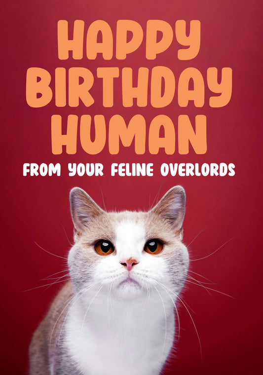 Dean Morris From Your Feline Overlords Funny Birthday Greeting Card 5x7 DMA516 | 259567