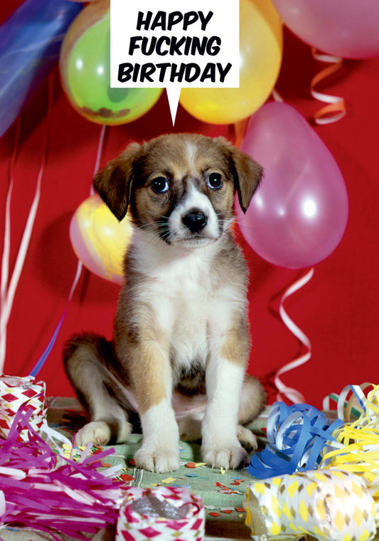 Dean Morris Happy Fucking Birthday Puppy Party Balloons Funny Birthday Greeting Card 5x7 DMU40 | 259584