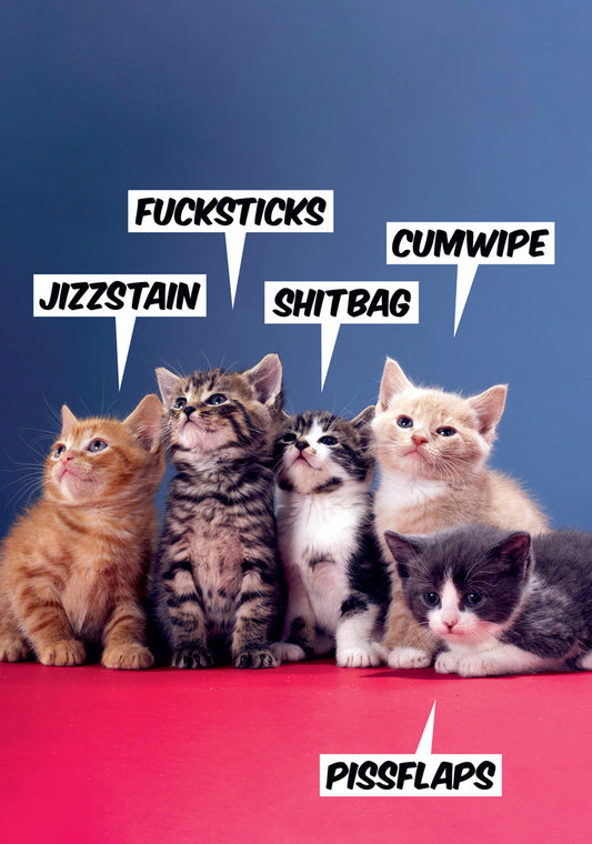 Dean Morris Jizzstain Fucksticks Shitbag Cumwipe Pissflaps Funny Greeting Card 5x7 DMU241 | 259666