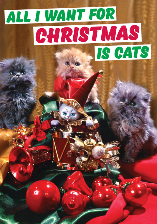 Dean Morris All I Want For Christmas Is Cats Funny Greeting Card 5x7 DMX237 | 259881