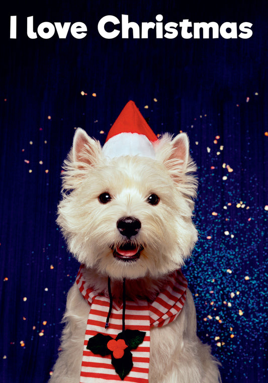 Dean Morris I Love Christmas Cute Dog Santa Hat Funny Greeting Card 5x7 DMX288 | 259919