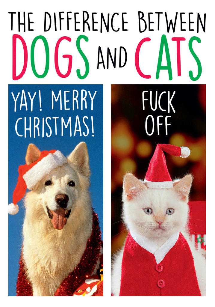 Dean Morris Difference Between Dogs And Cats Santa Hat Funny Christmas Greeting Card 5x7 DMX300 | 259932