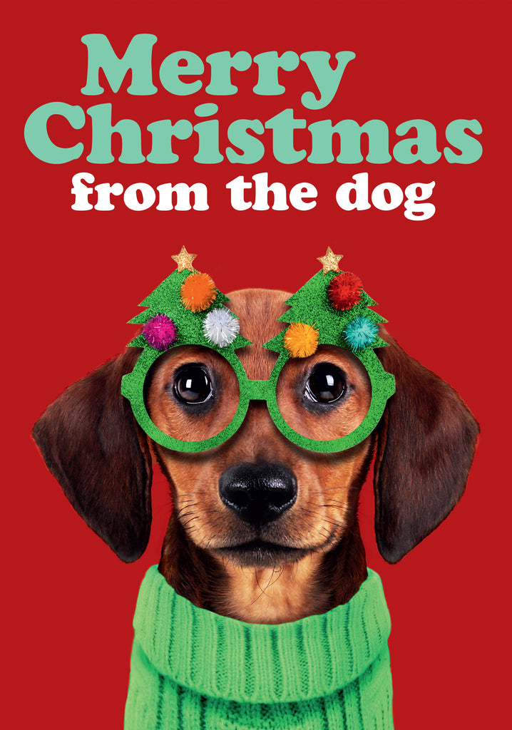 Dean Morris Merry Christmas From The Dog Funny Greeting Card 5x7 DMX308 | 259937