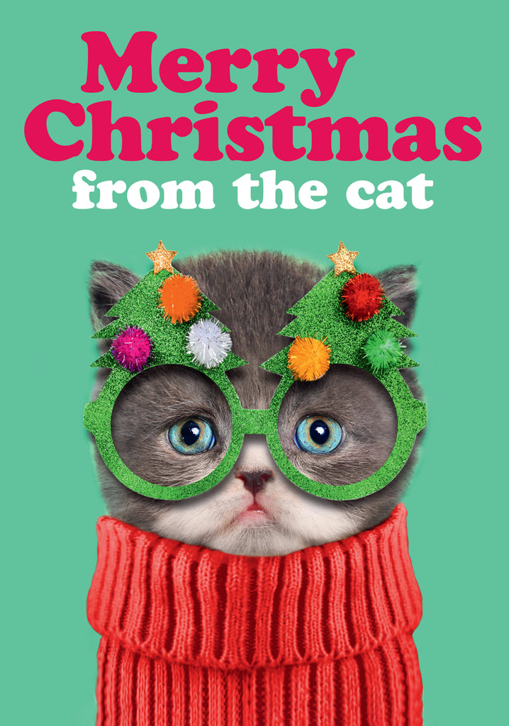 Dean Morris Merry Christmas From The Cat Funny Greeting Card 5x7 DMX309 | 259939