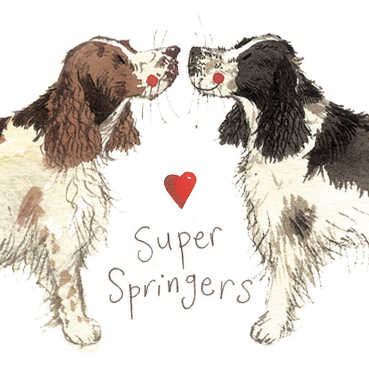 SUPER SPRINGERS FRIDGE MAGNET FM02