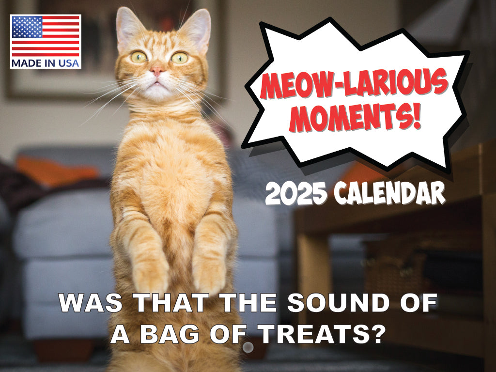 Funny Cat Calendar 2025 Meowlarious Cats Monthly Wall Calender 12 Month | Made In The USA 261472