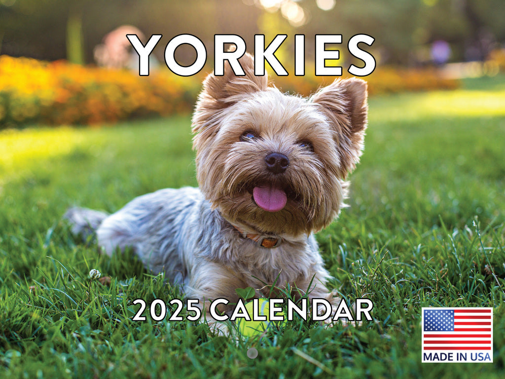 Yorkie Calendar 2025 Monthly Wall Calender 12 Month | Made In The USA 261489