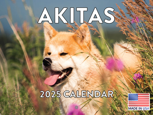 Akita Calendar 2025 Monthly Wall Calender 12 Month | Made In The USA 261714