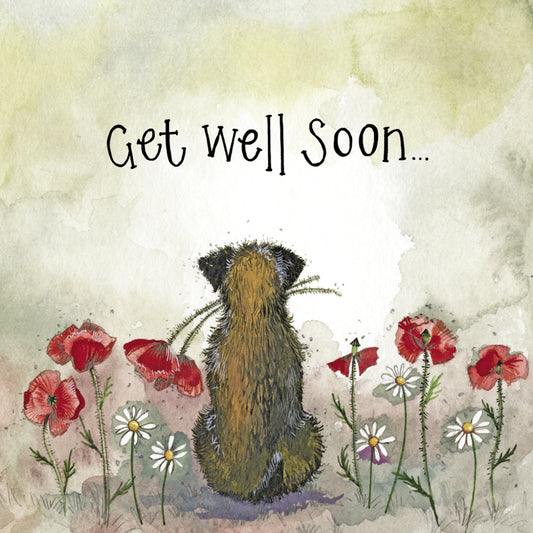 ALEX CLARK STARLIGHT GINGER CAT GET WELL SOON FOIL CARD LS164 | 262087