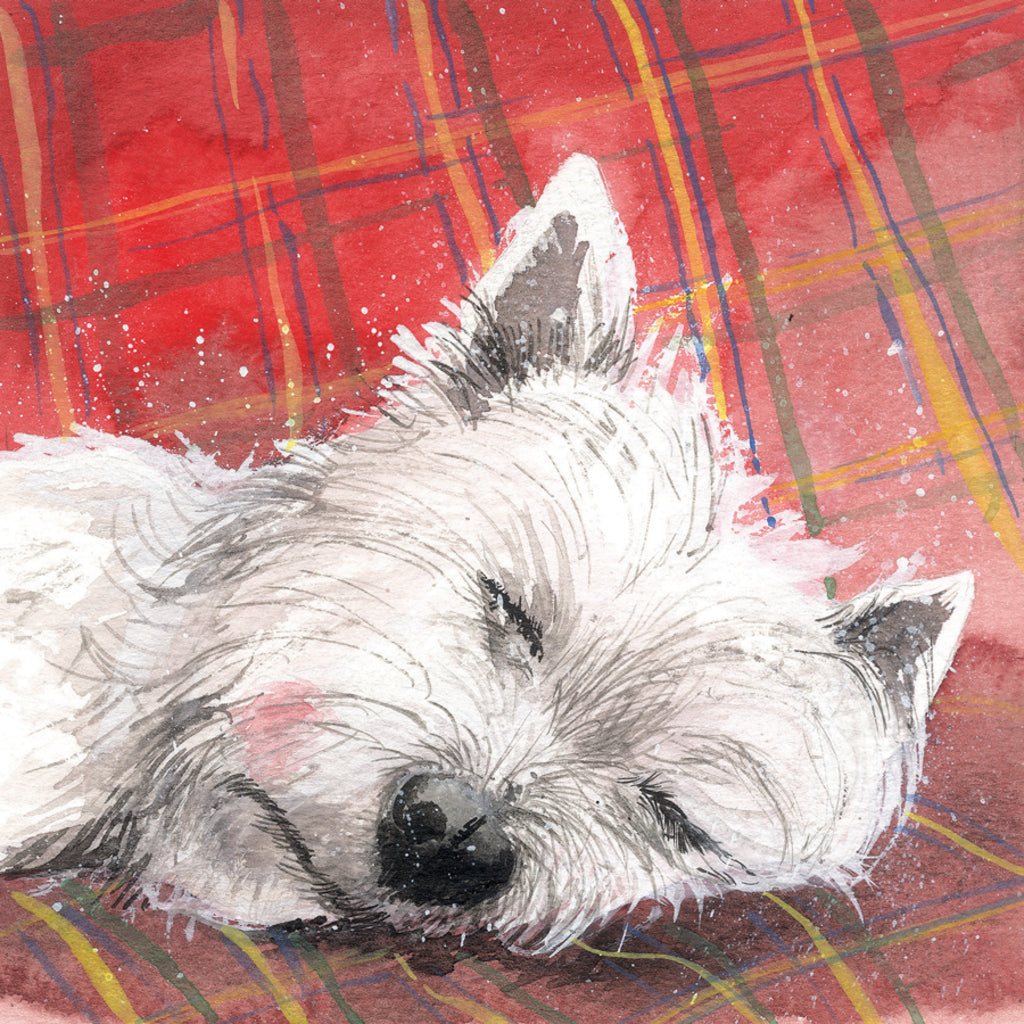 TARTAN RUG BLANK CARD AC526