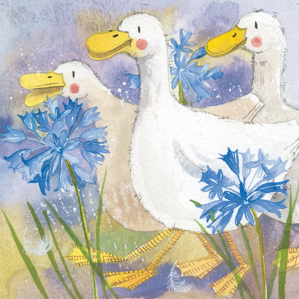 THREE DUCKS BLANK CARD AC535