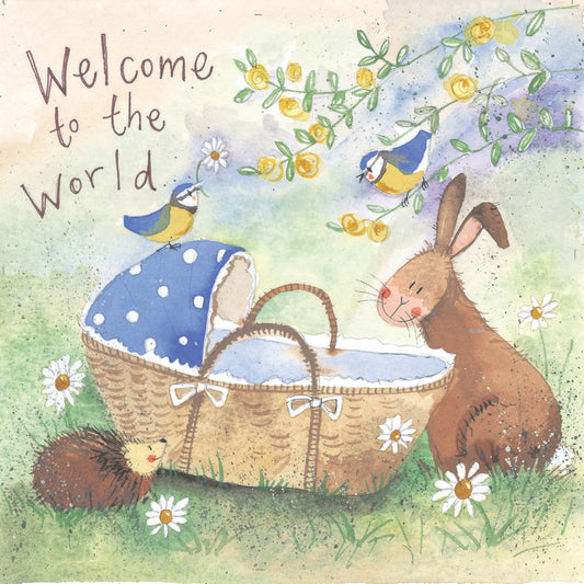 WELCOME TO THE WORLD BABY BOY CARD AC564