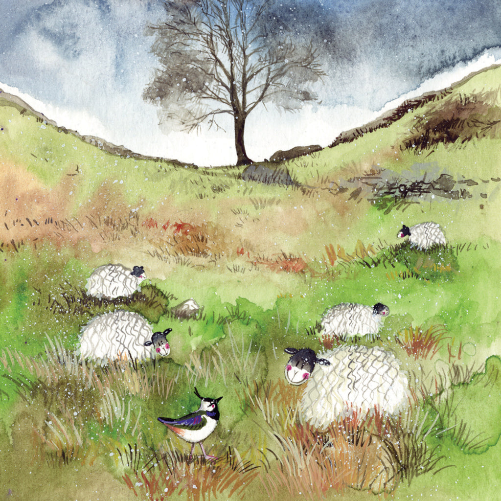 SHEEP & SYCAMORE BLANK CARD AC744