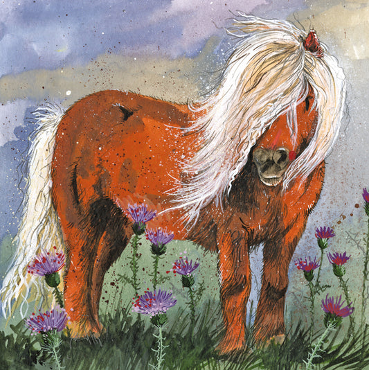 SHETLAND PONY BLANK CARD AC842