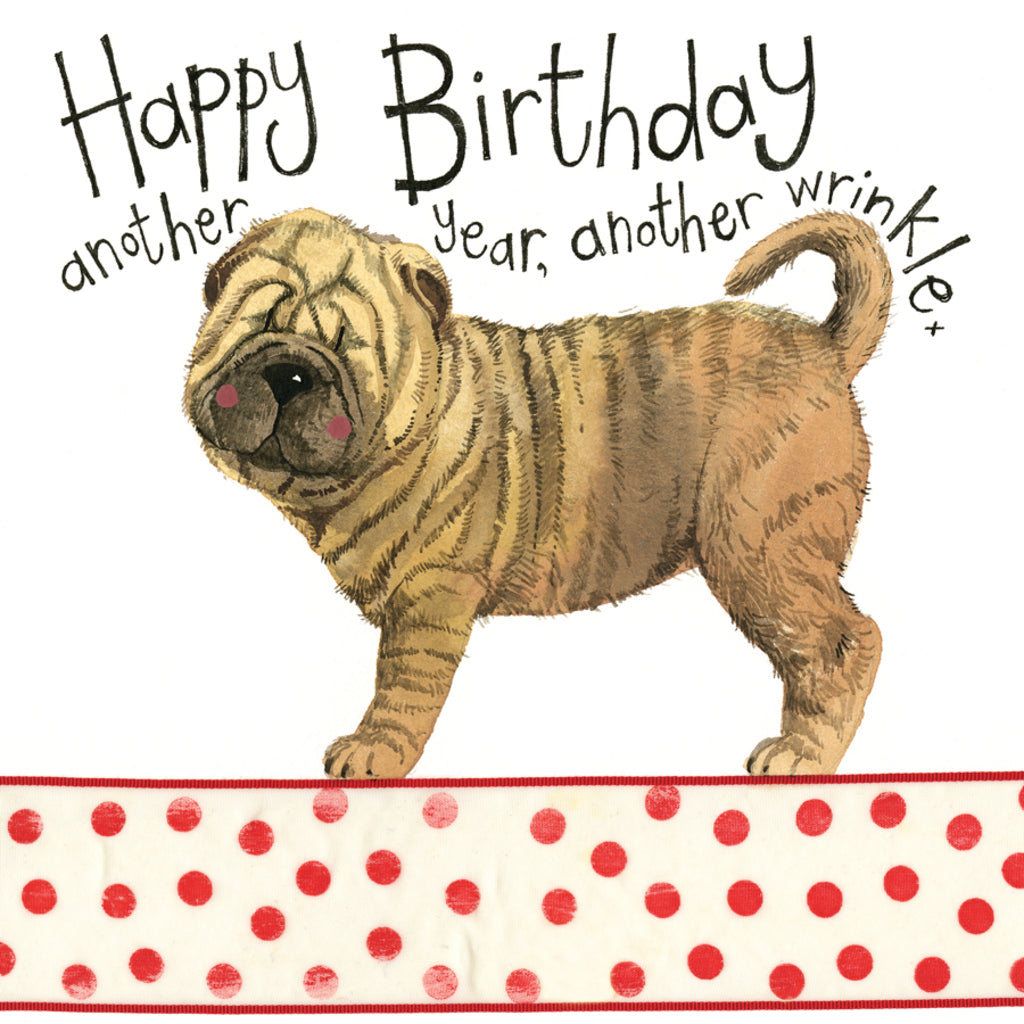 WRINKLES BIRTHDAY CARD S168