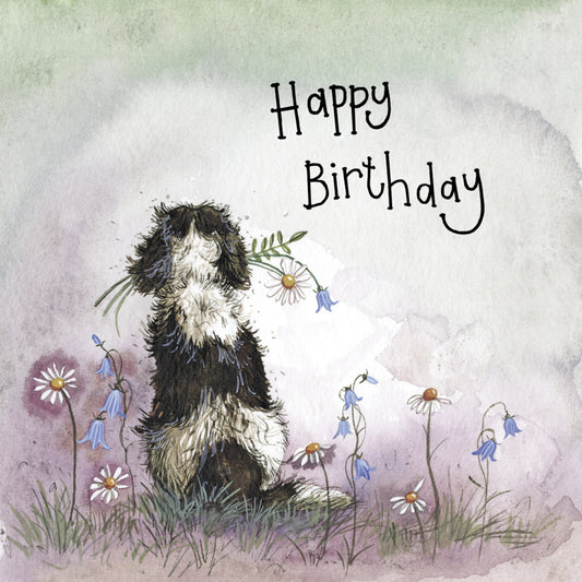 SUNSHINE SPANIEL BIRTHDAY FOIL CARD S425